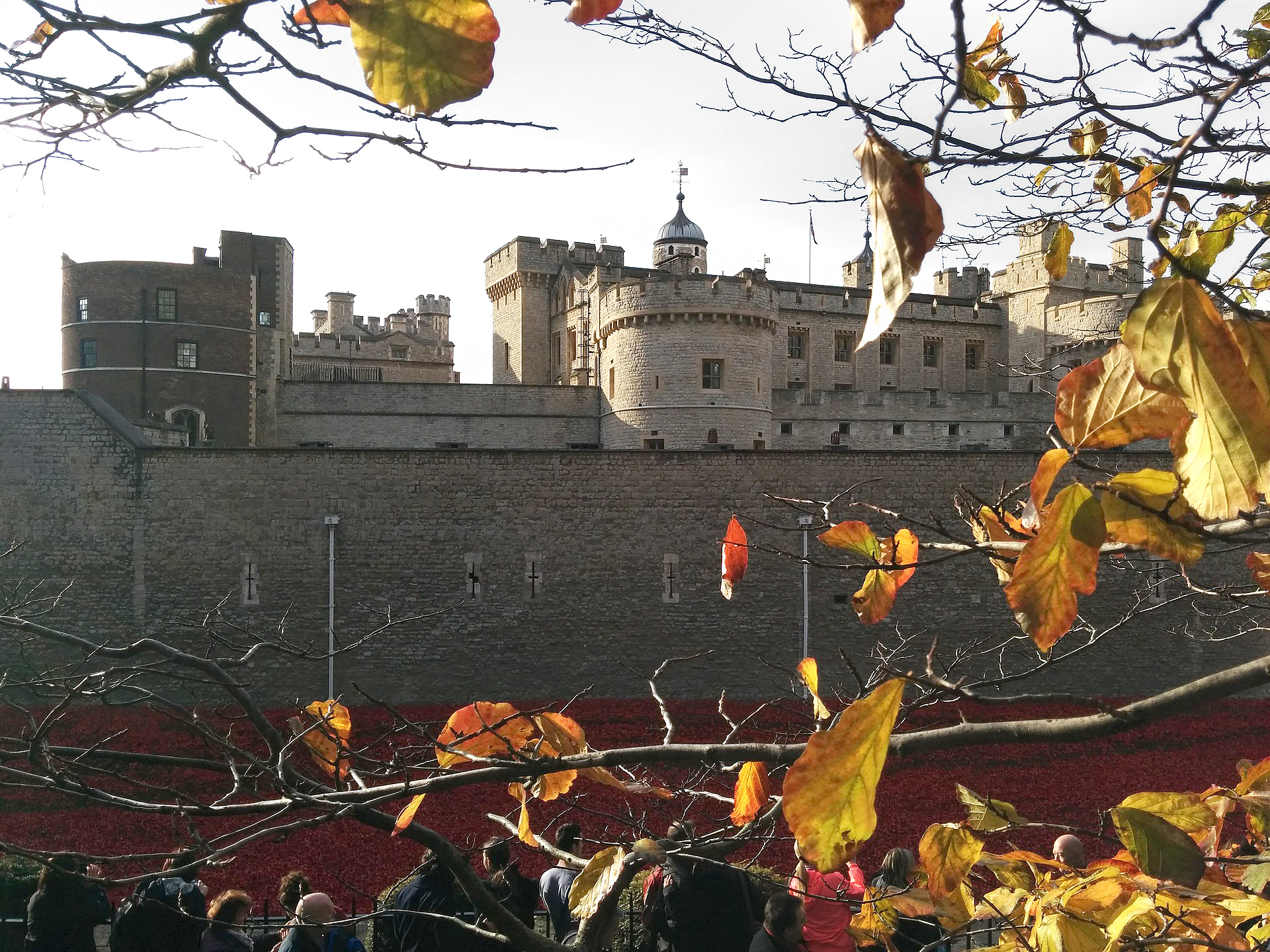 Things to do in London - The Tower of London