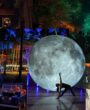 20 Things To Do In Essex: Events for October 2026